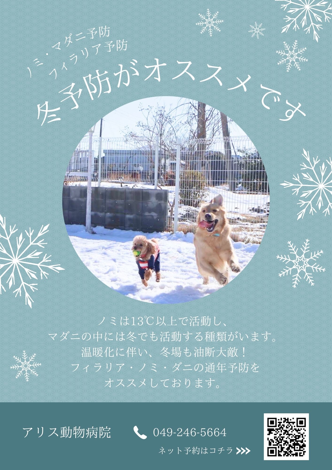 冬予防のおすすめ